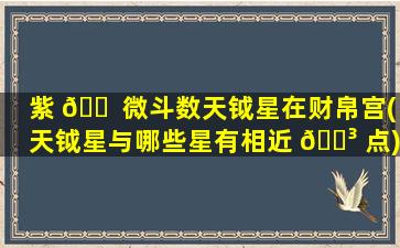 紫 🐠 微斗数天钺星在财帛宫(天钺星与哪些星有相近 🐳 点)